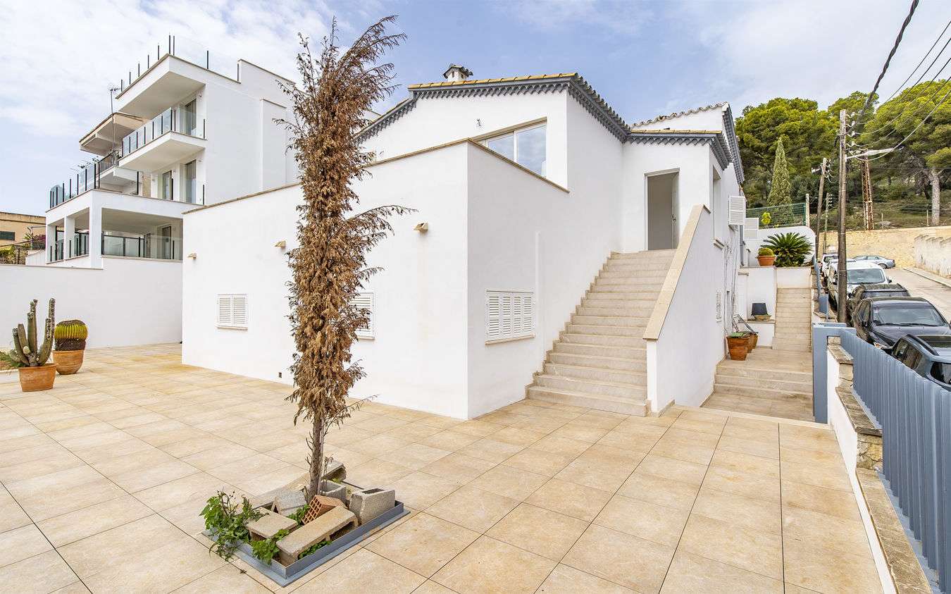 [object Object] - image