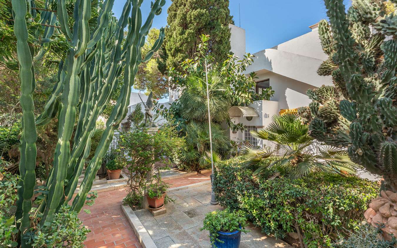 [object Object] - image