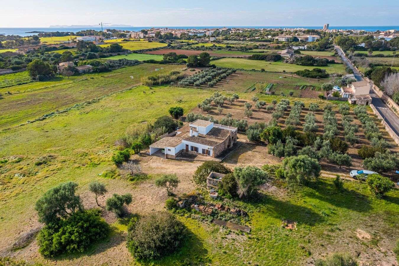 [object Object] - image