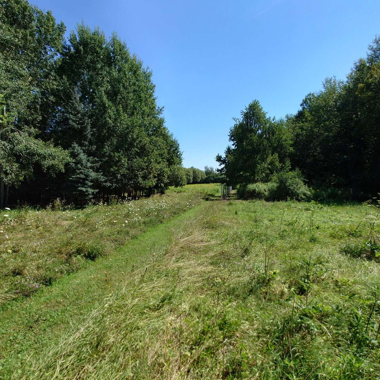 [object Object] - image