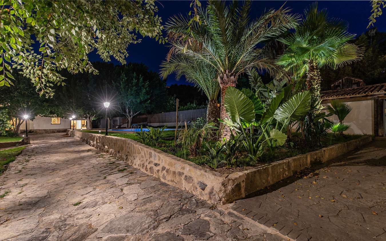 [object Object] - image