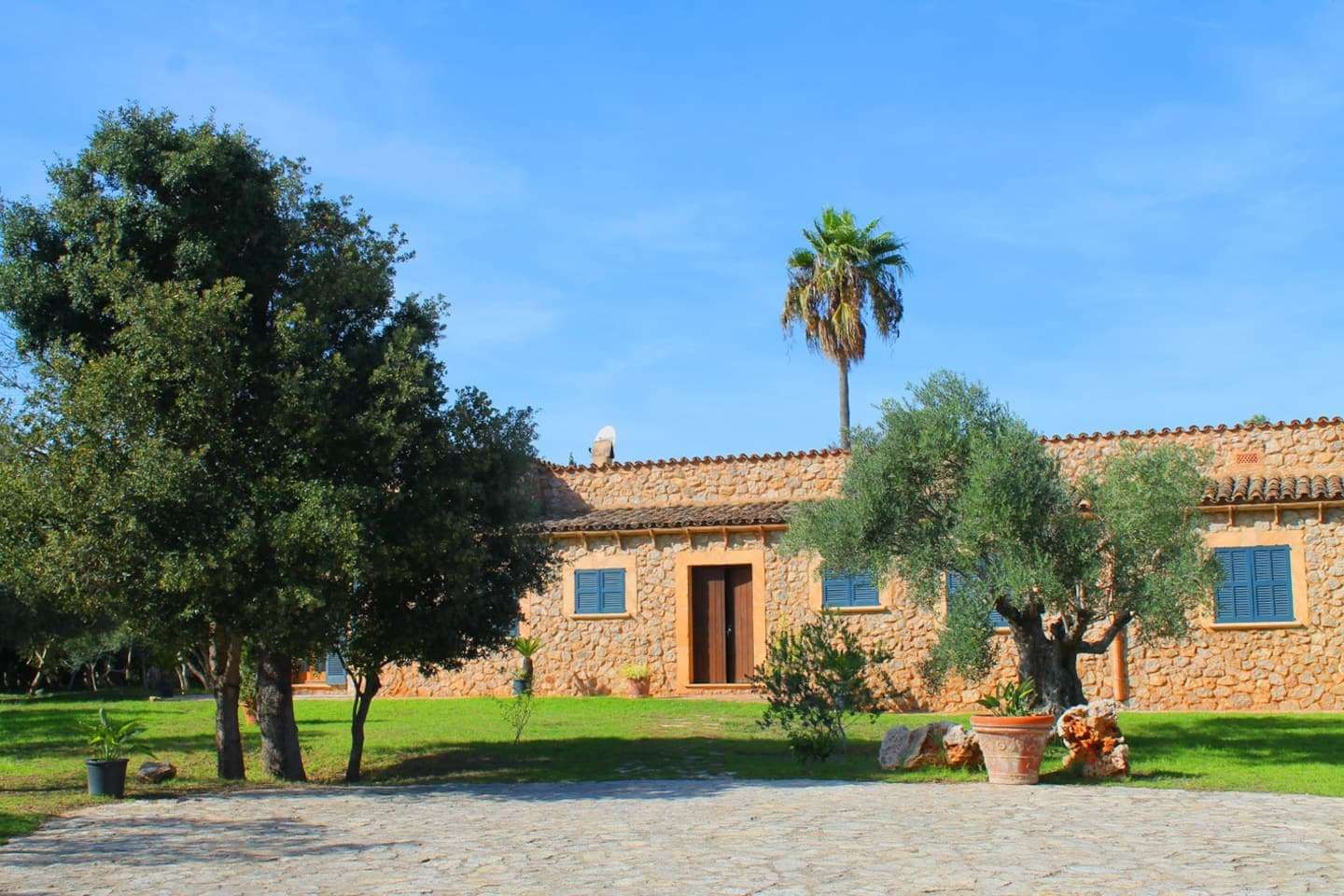 [object Object] - image