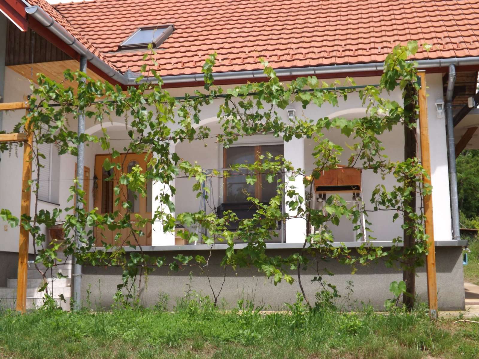 [object Object] - image