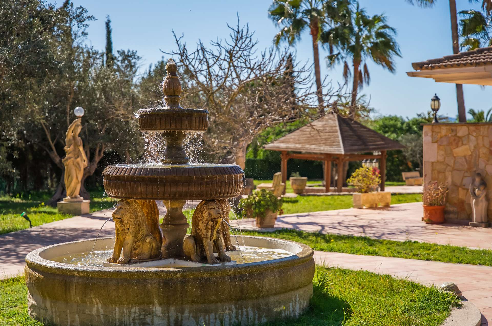 [object Object] - image