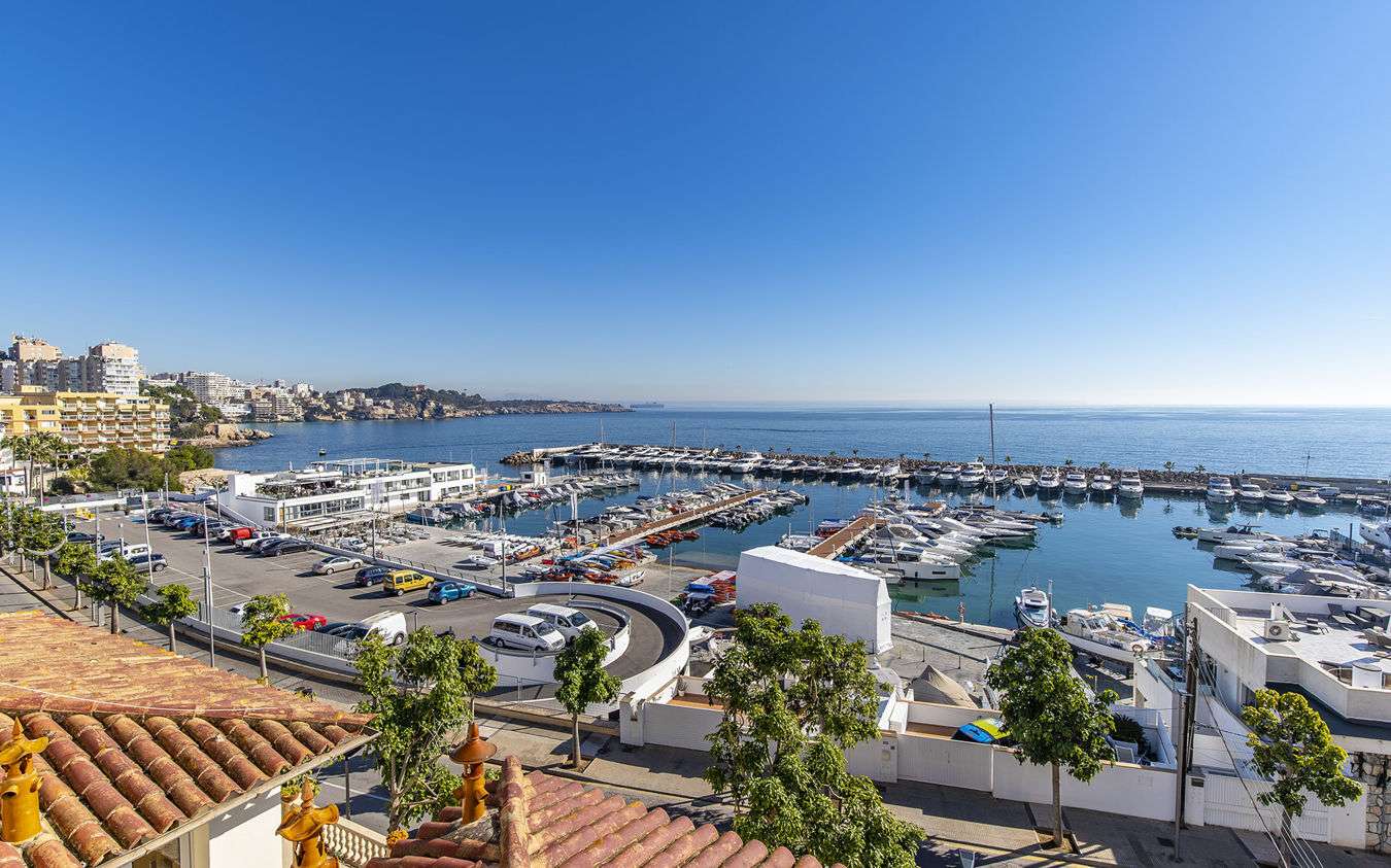 [object Object] - image