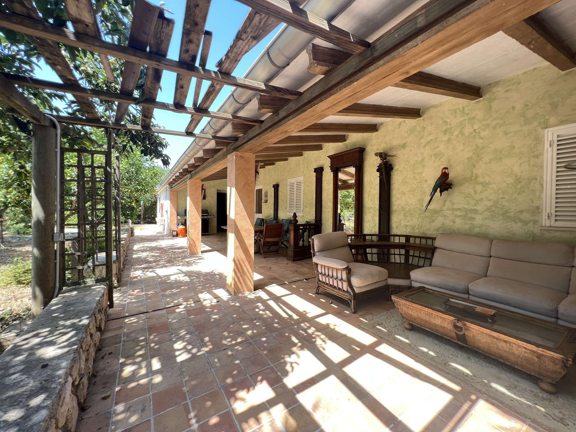 [object Object] - image