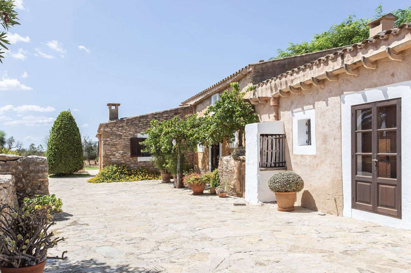 [object Object] - image