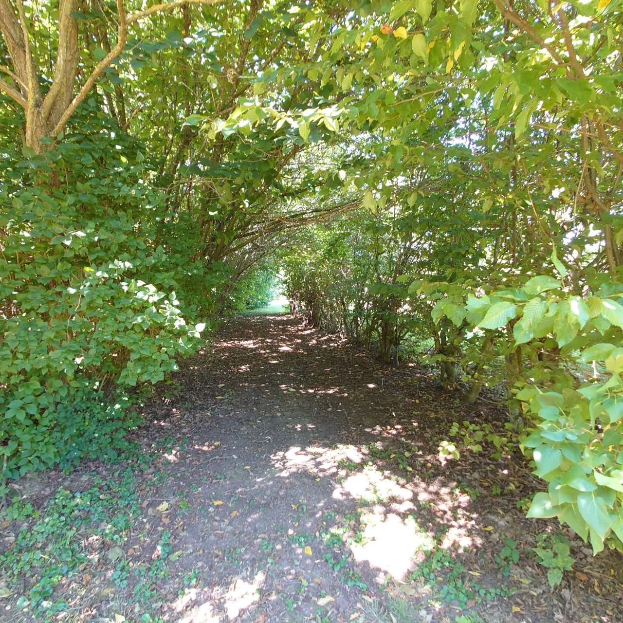 [object Object] - image