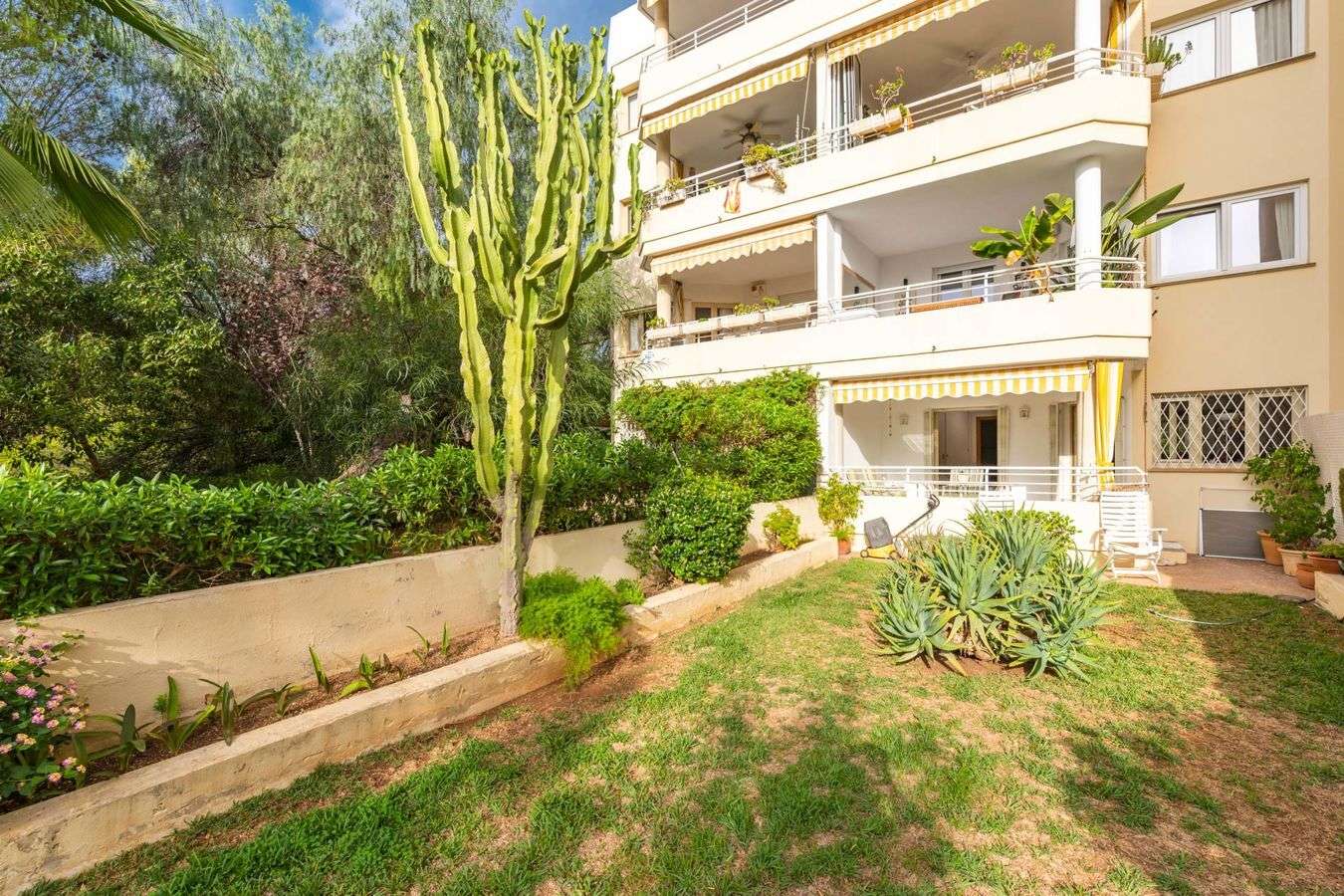 [object Object] - image