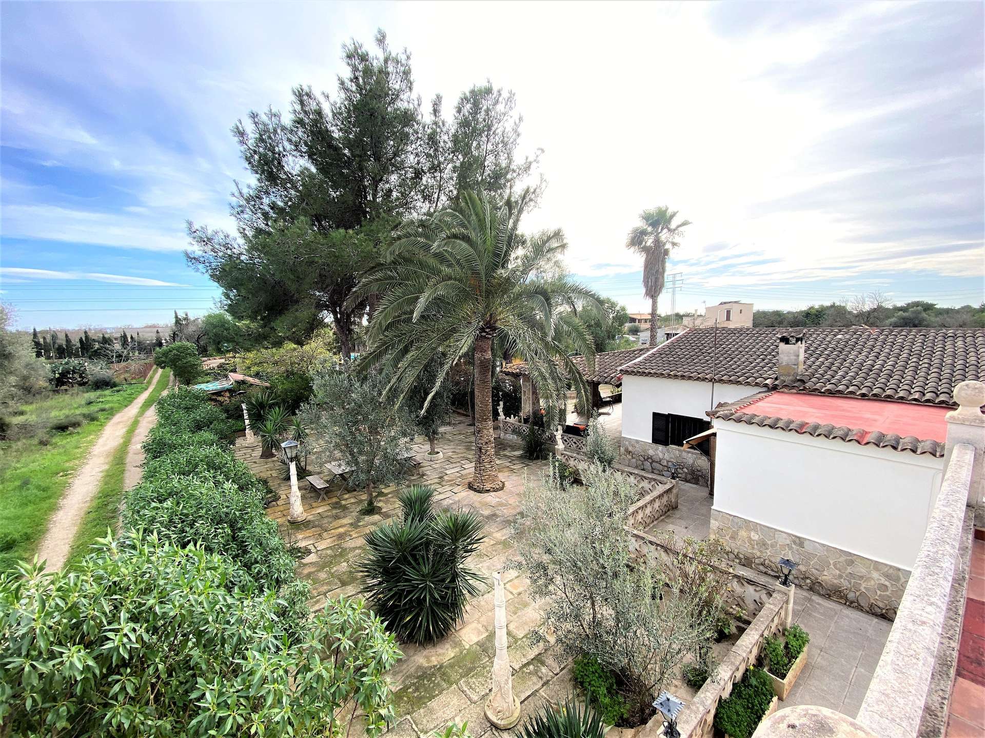 [object Object] - image