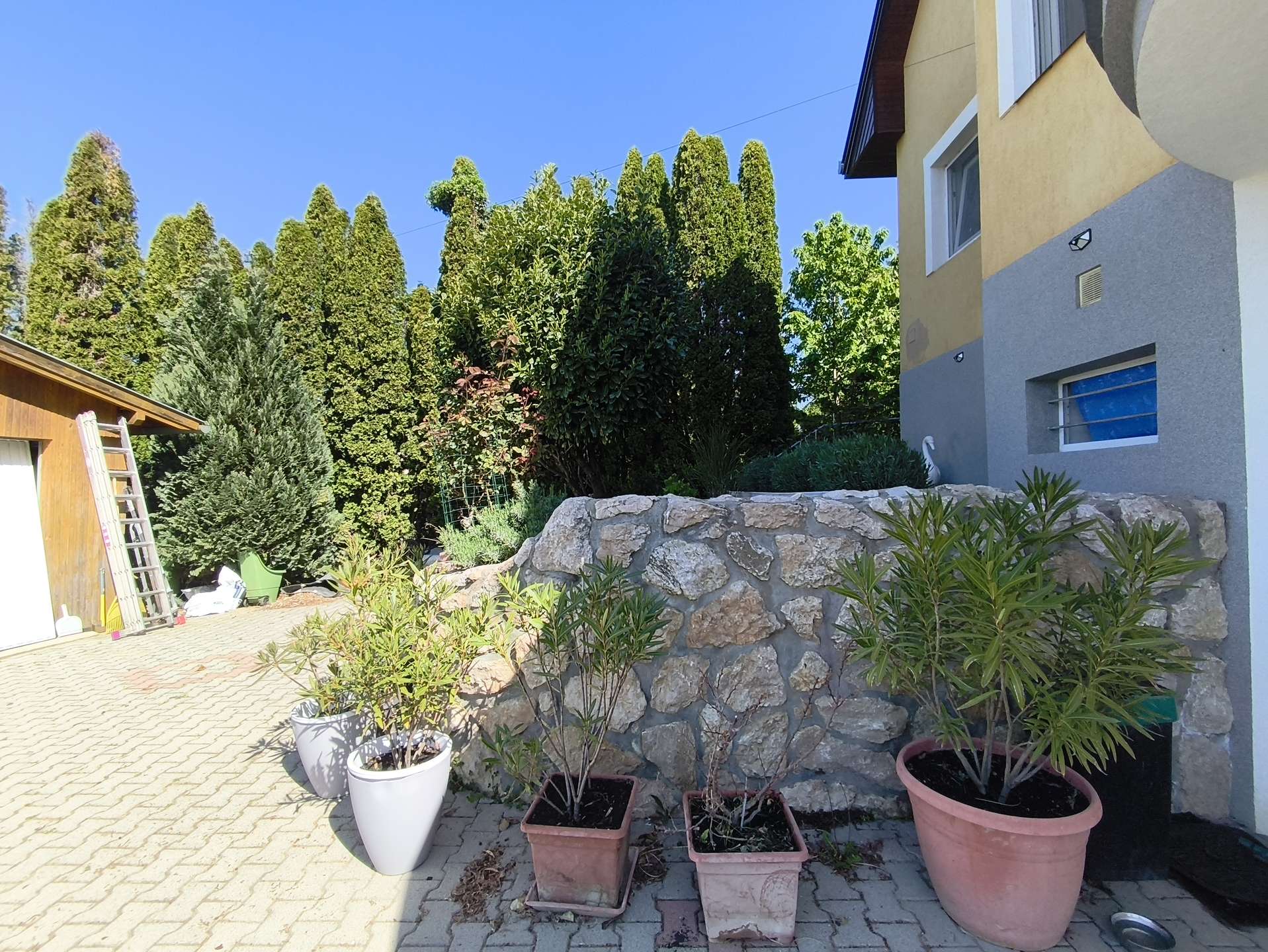 [object Object] - image