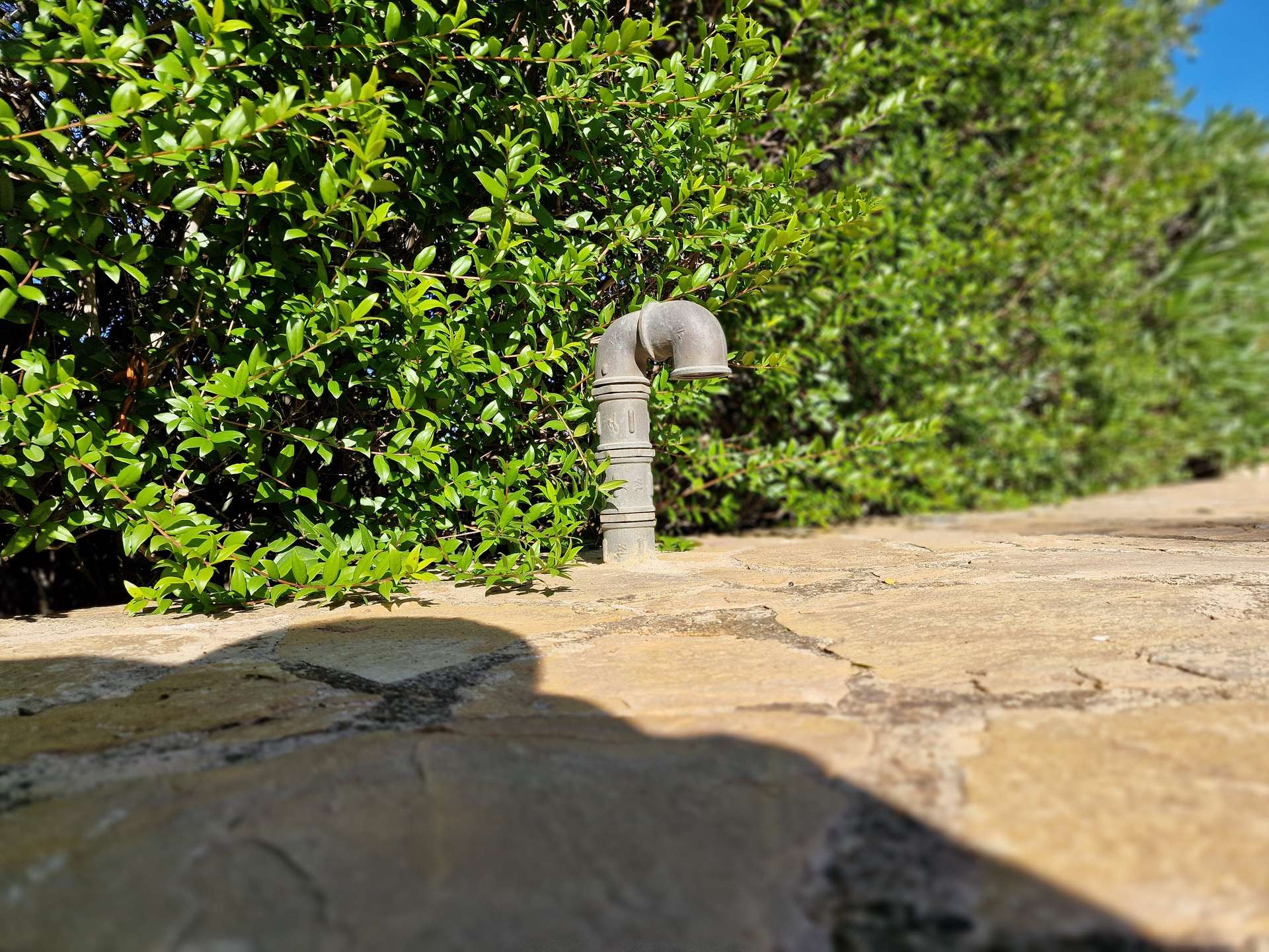 [object Object] - image