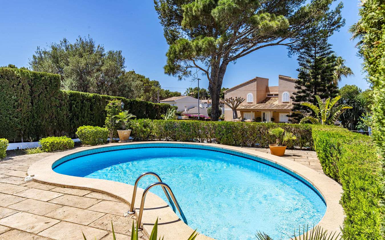 [object Object] - image