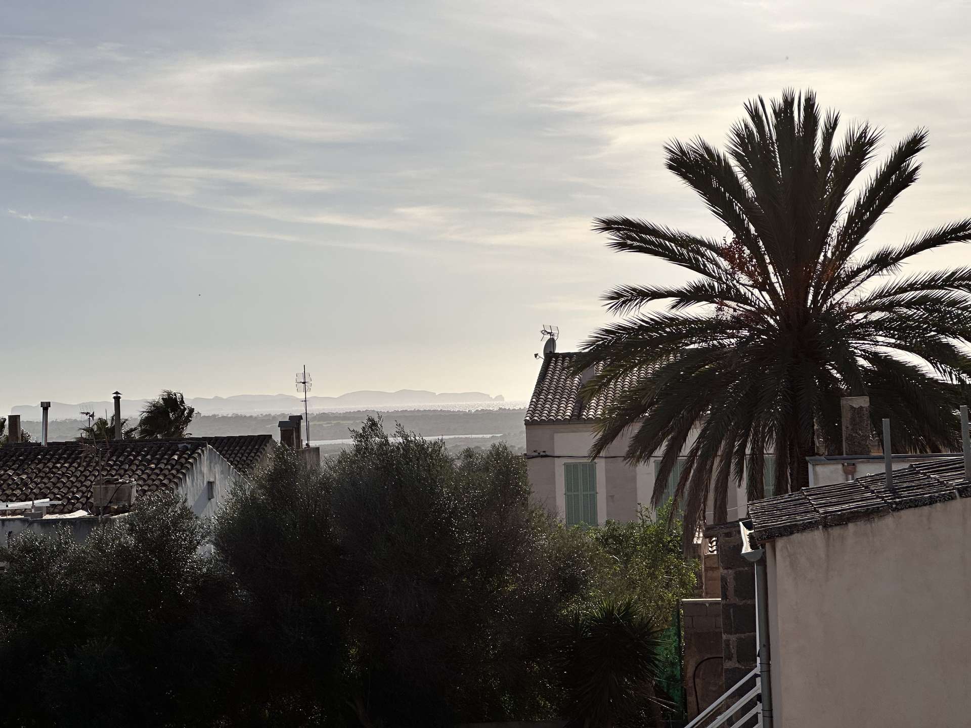 [object Object] - image