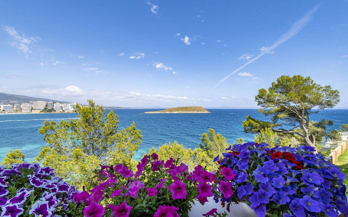 [object Object] - image