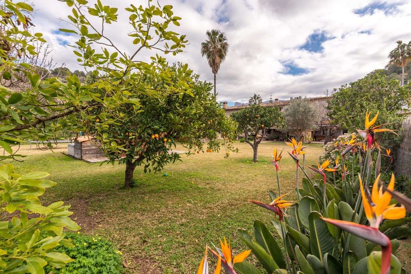 [object Object] - image