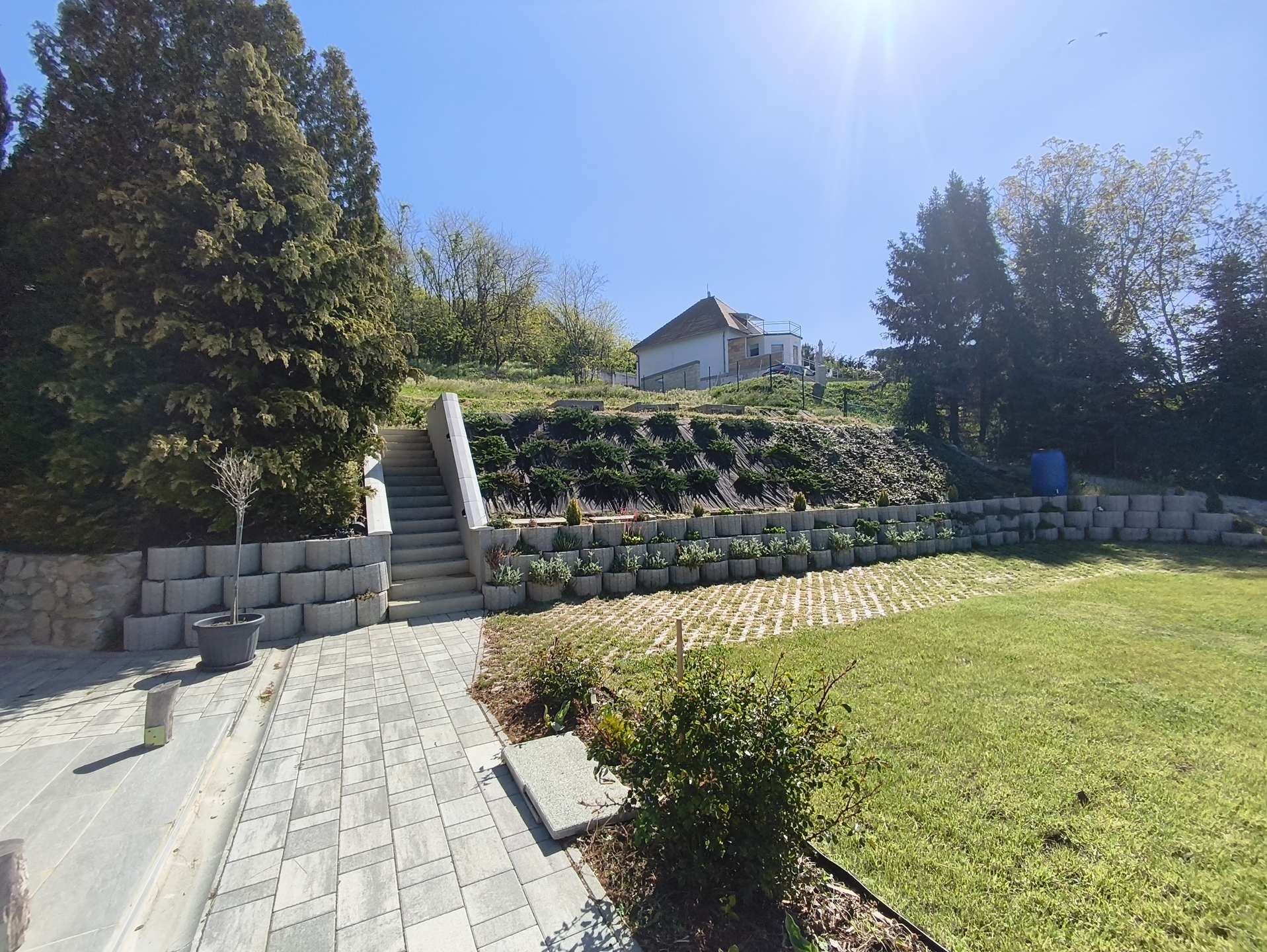 [object Object] - image