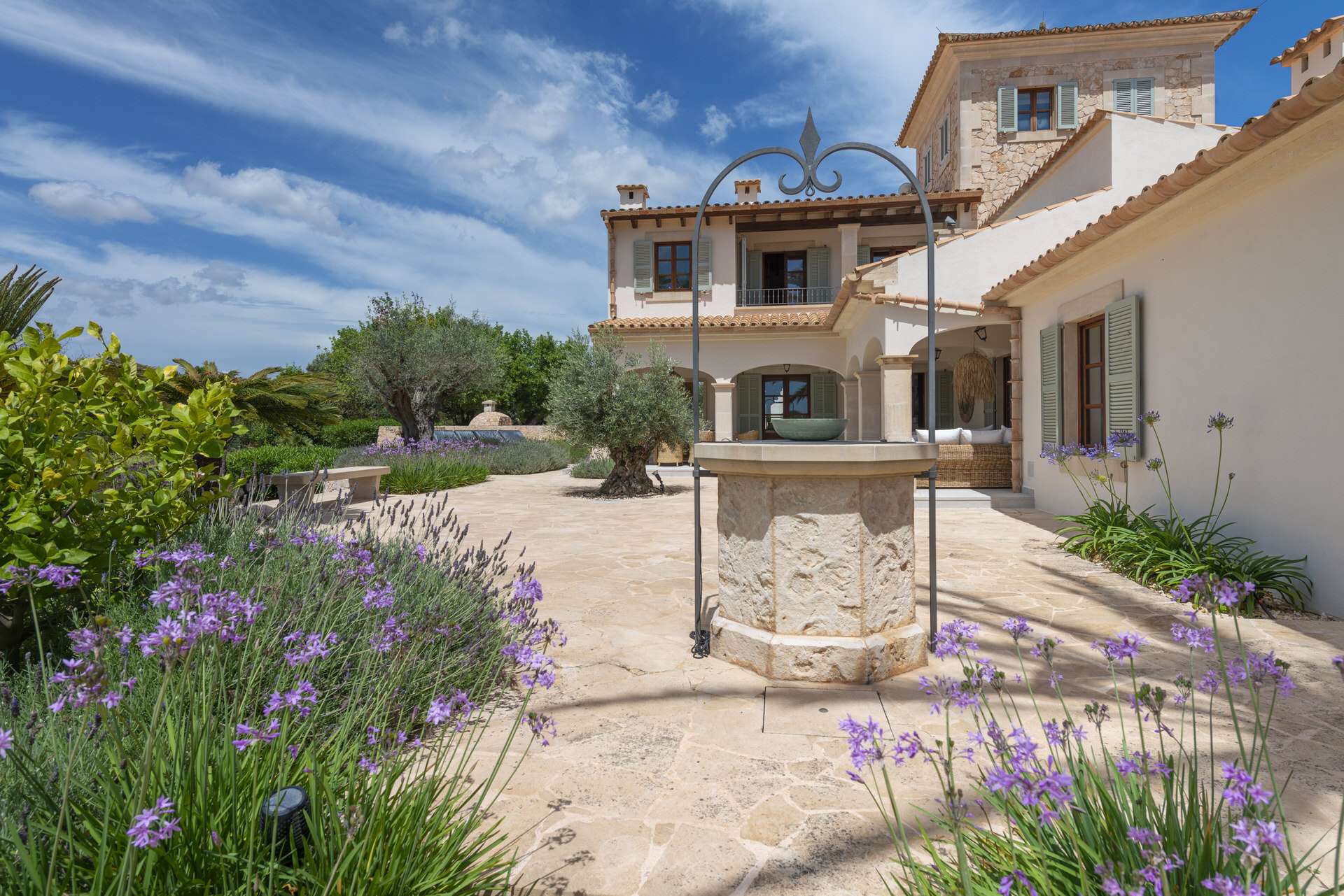 [object Object] - image