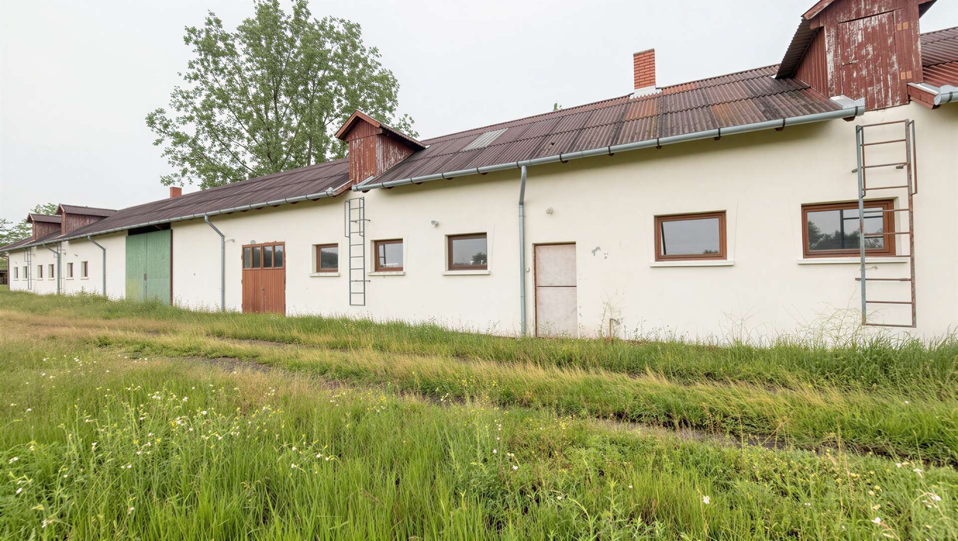 [object Object] - image