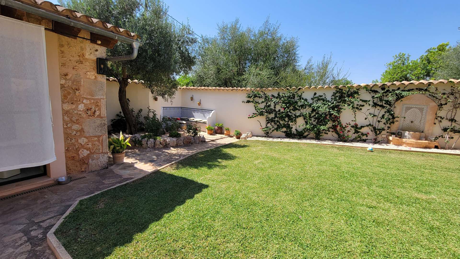 [object Object] - image