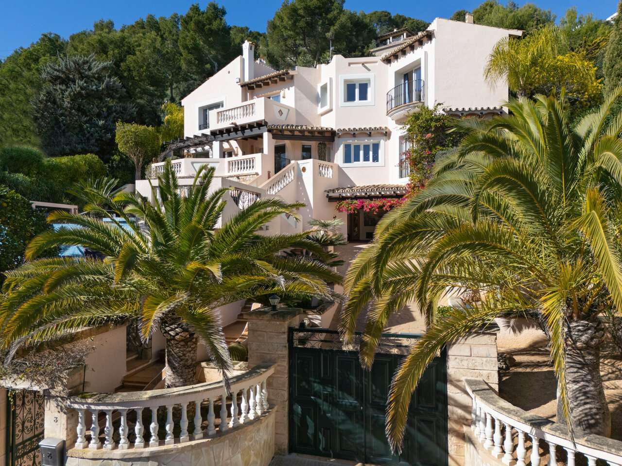 [object Object] - image