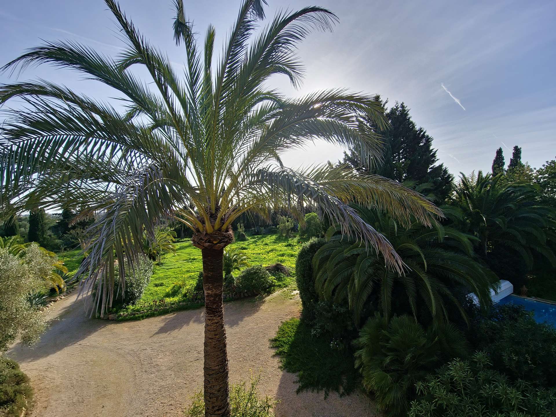 [object Object] - image