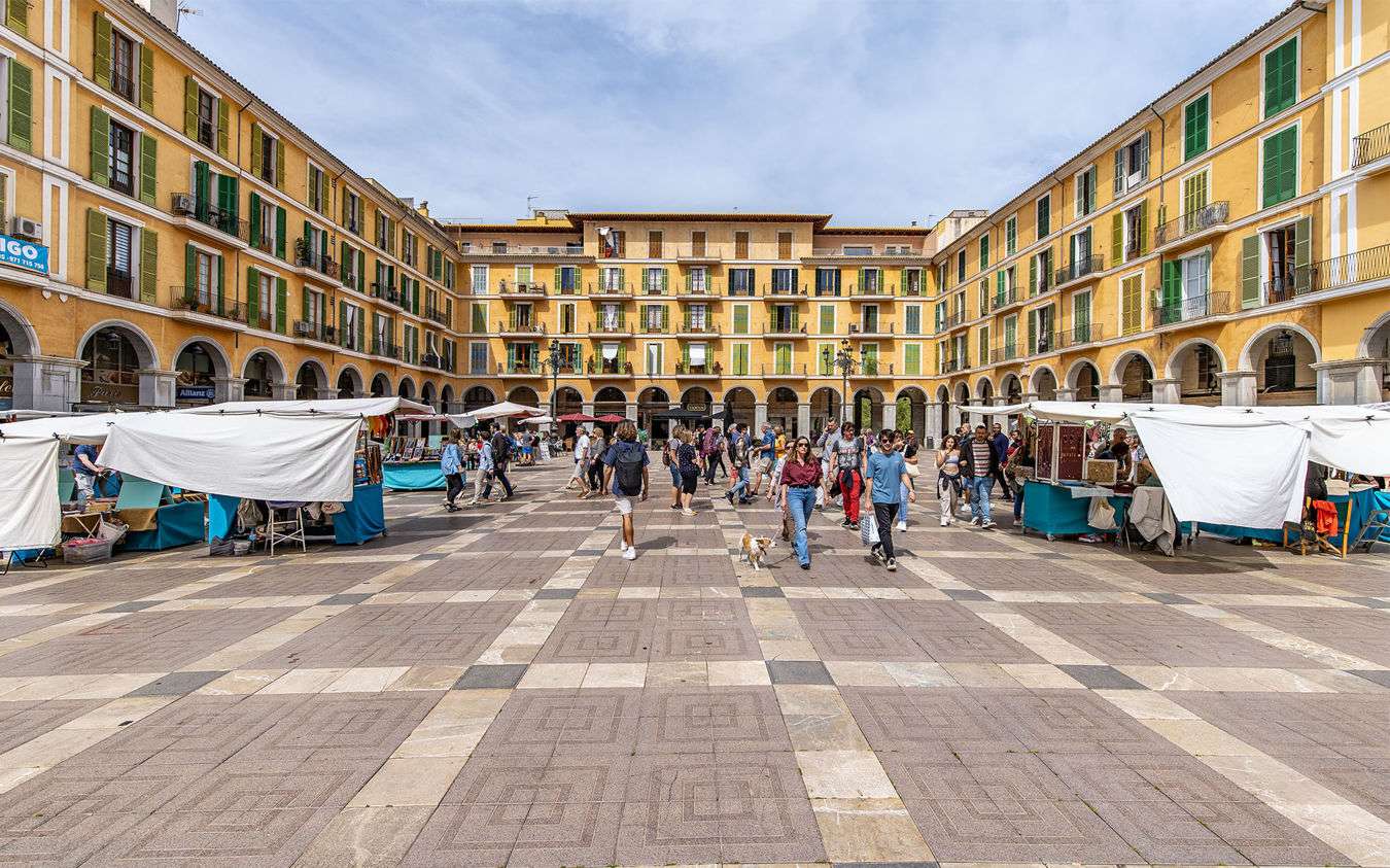 [object Object] - image