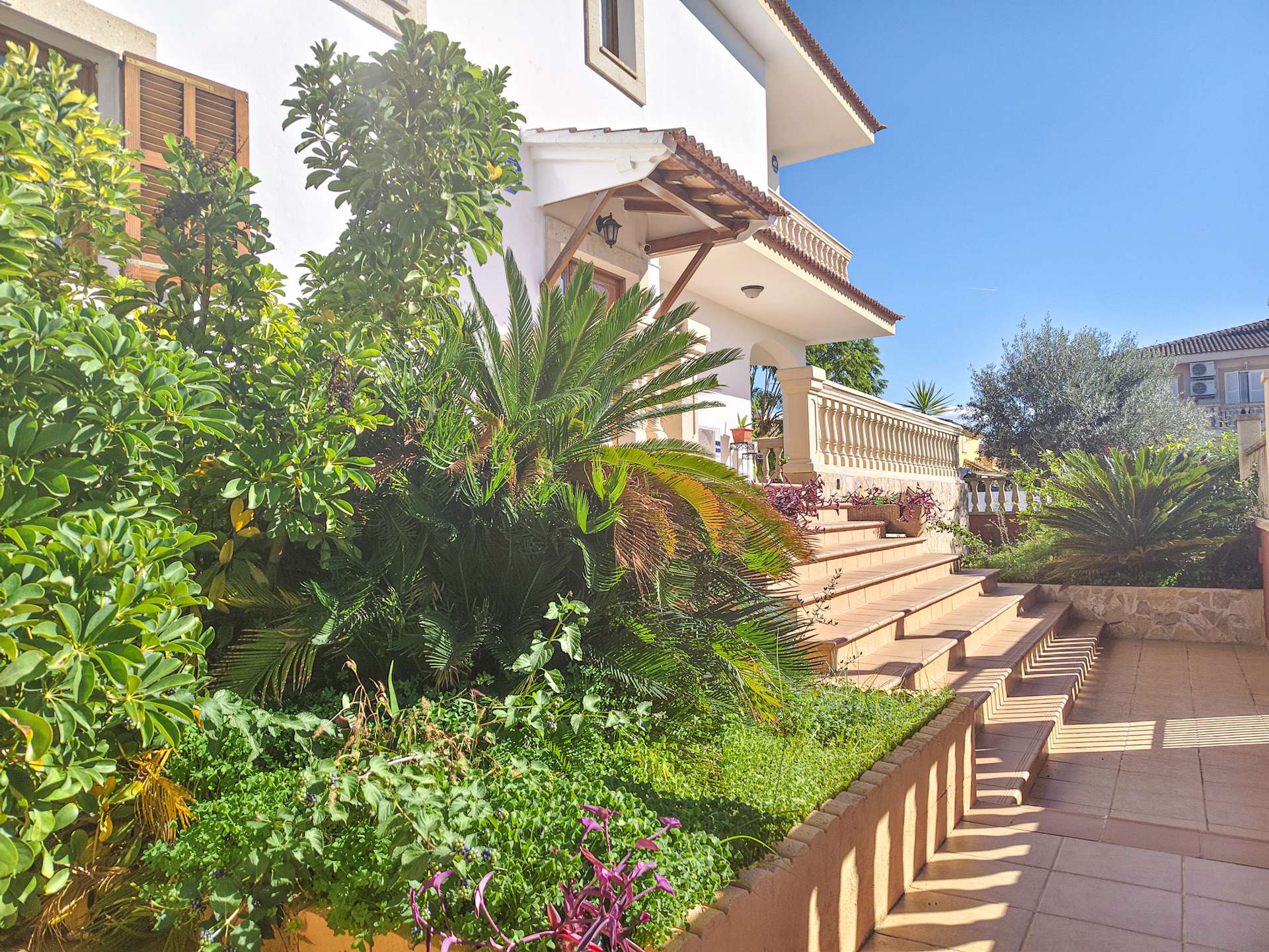 [object Object] - image