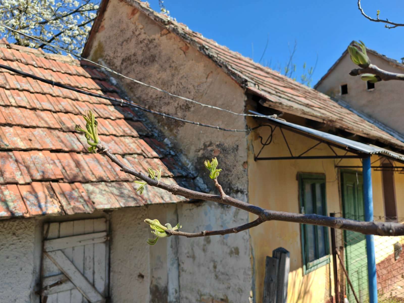 [object Object] - image