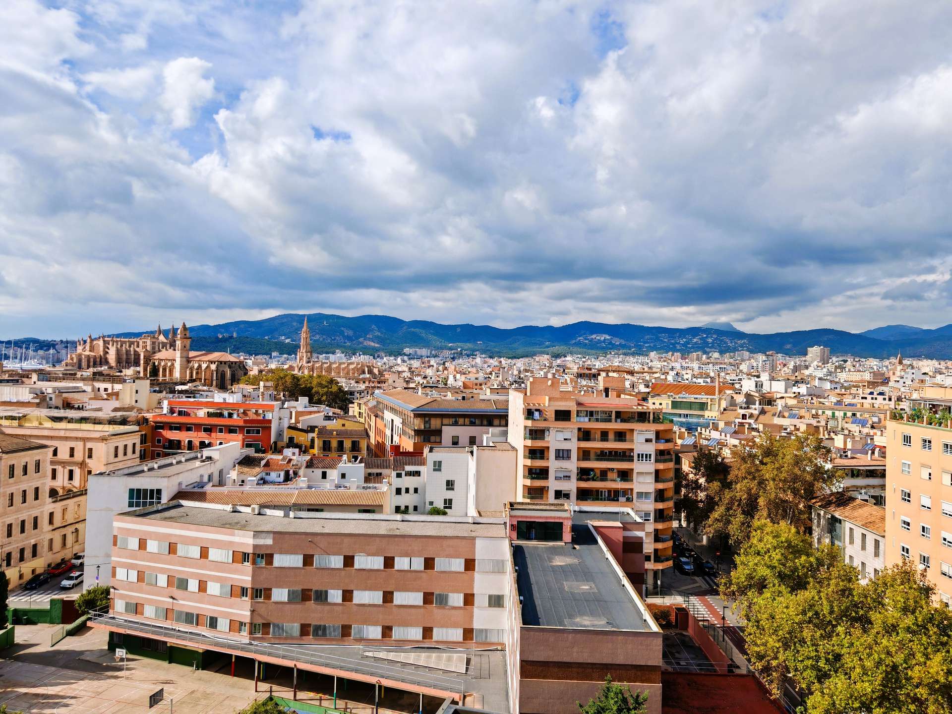 [object Object] - image