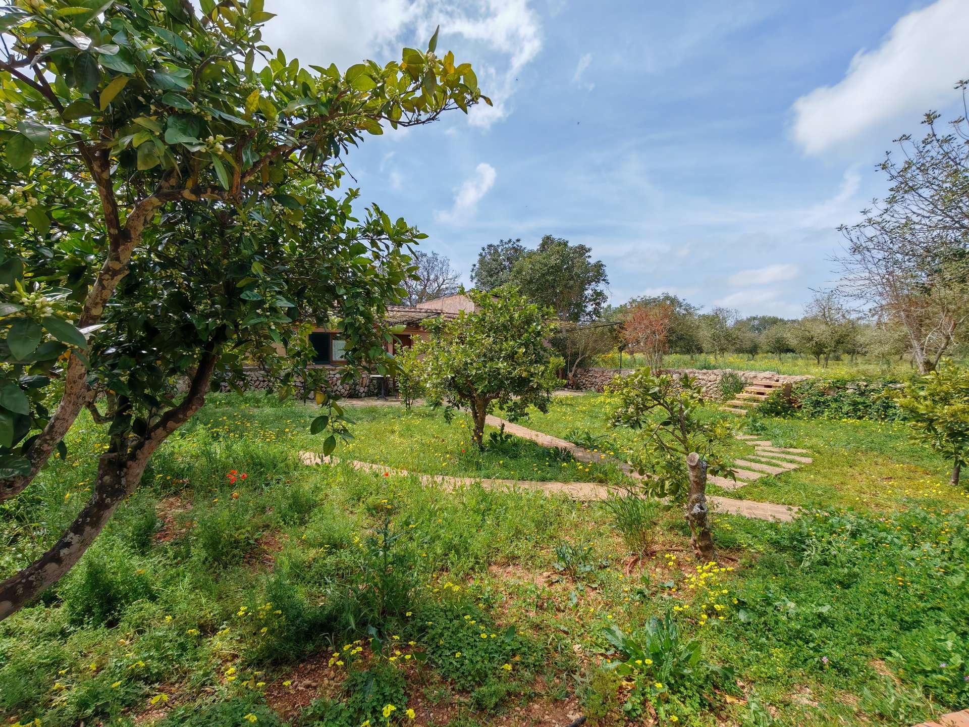 [object Object] - image