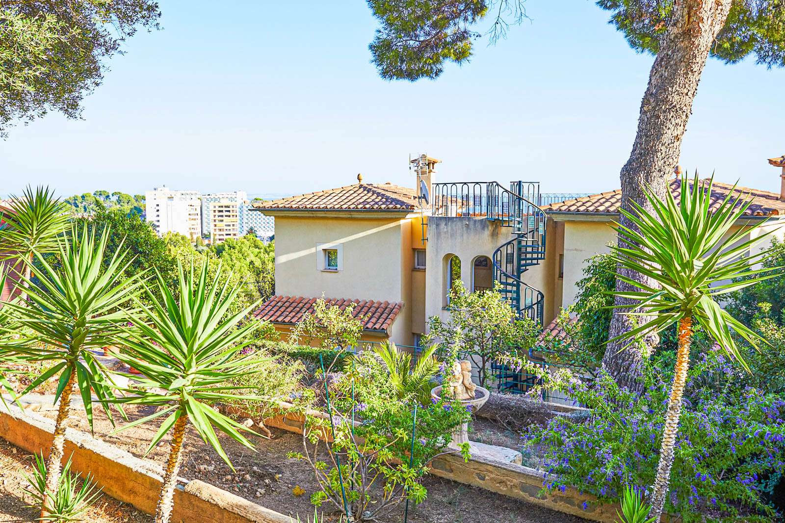 [object Object] - image