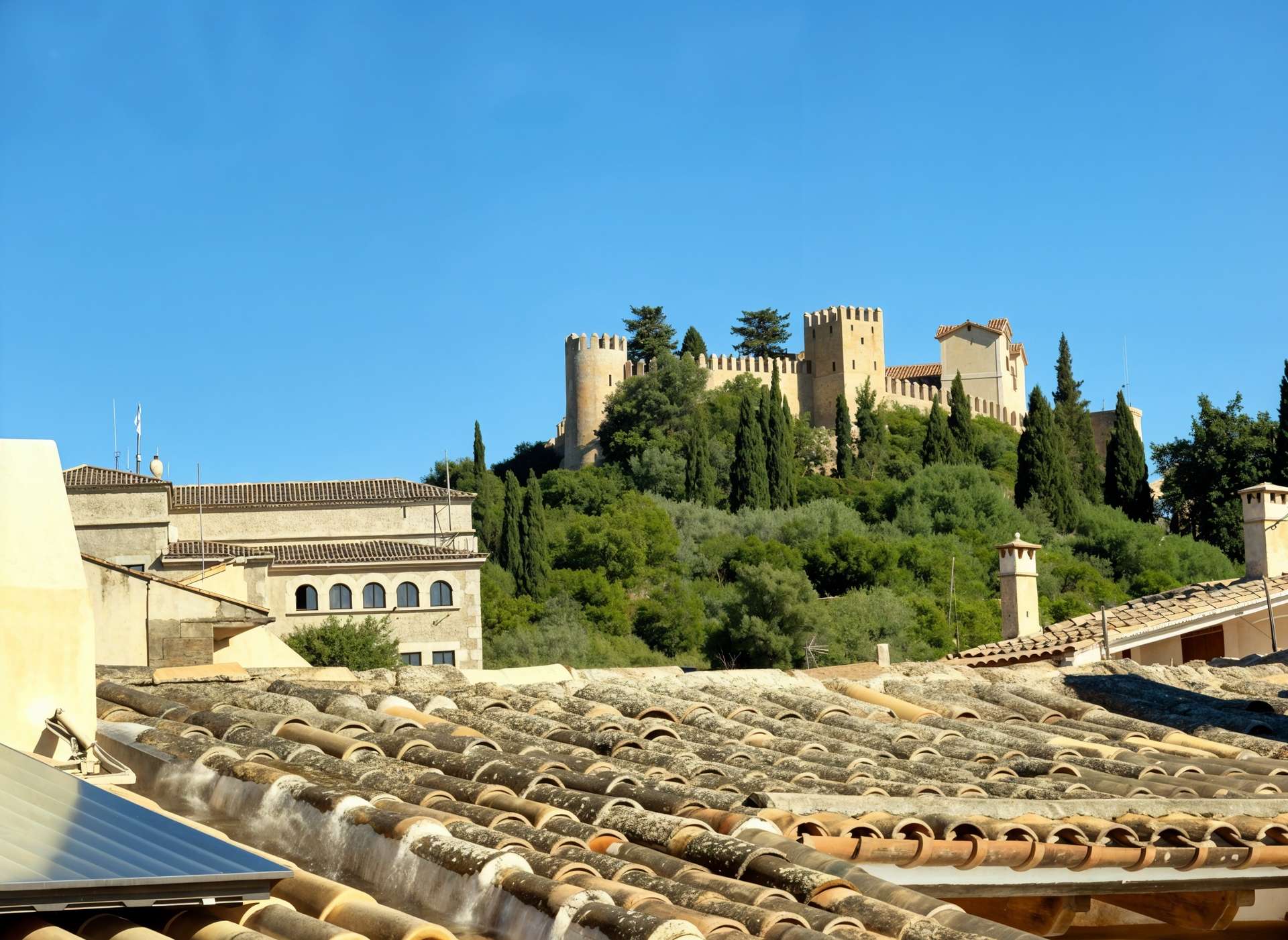 [object Object] - image