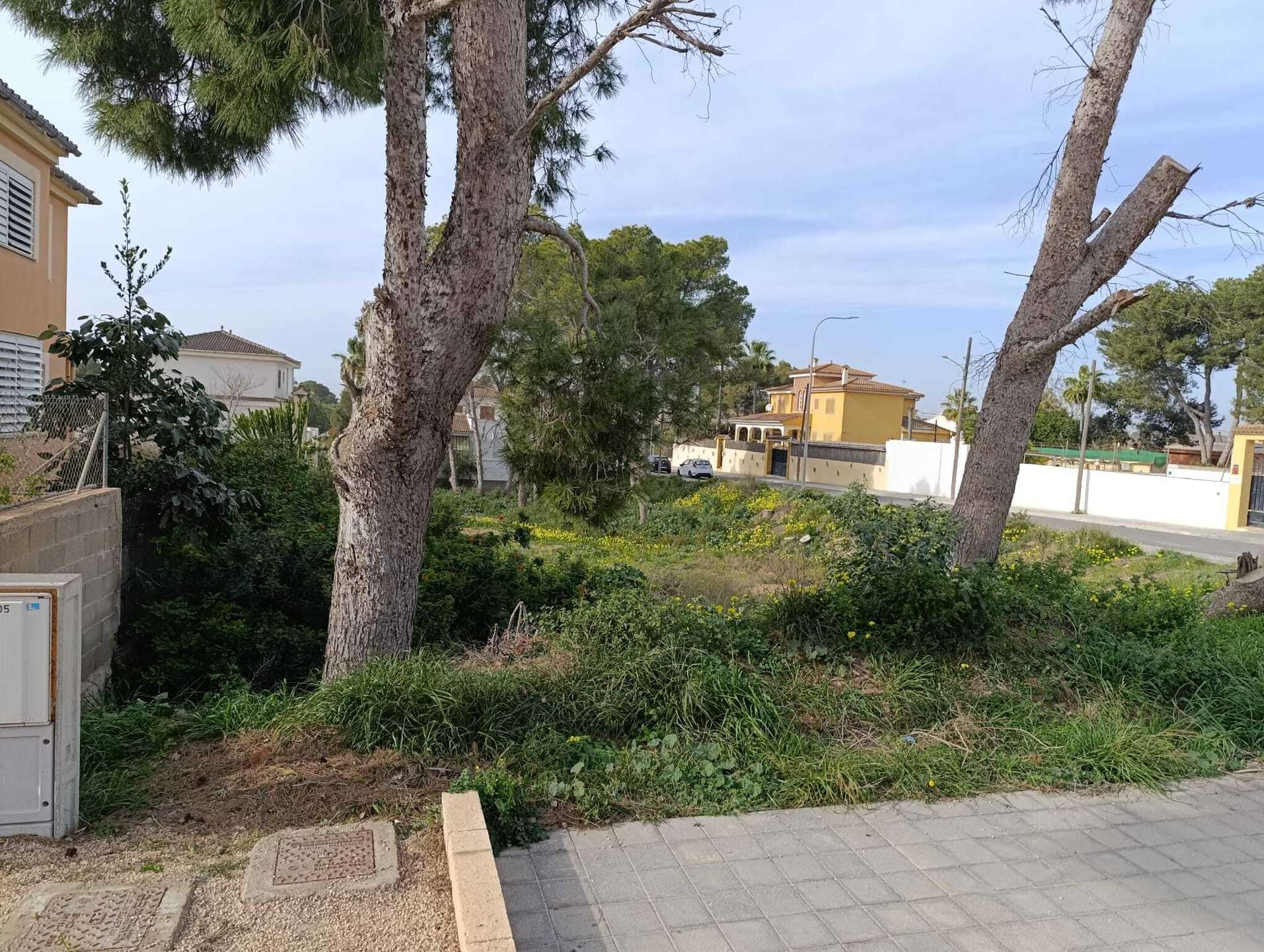 [object Object] - image