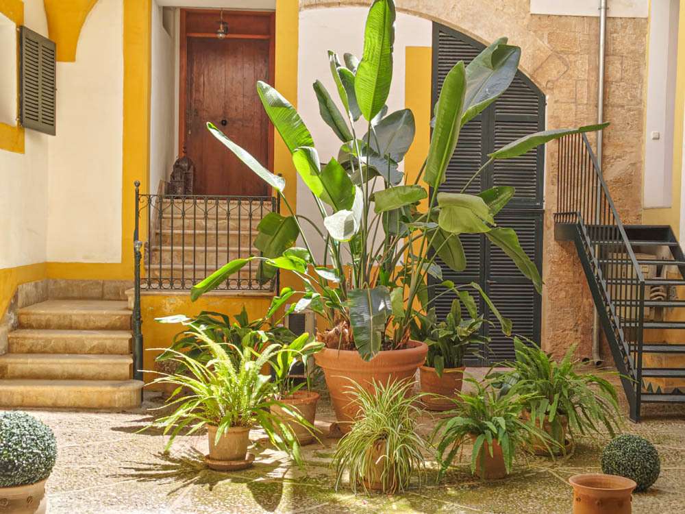 [object Object] - image