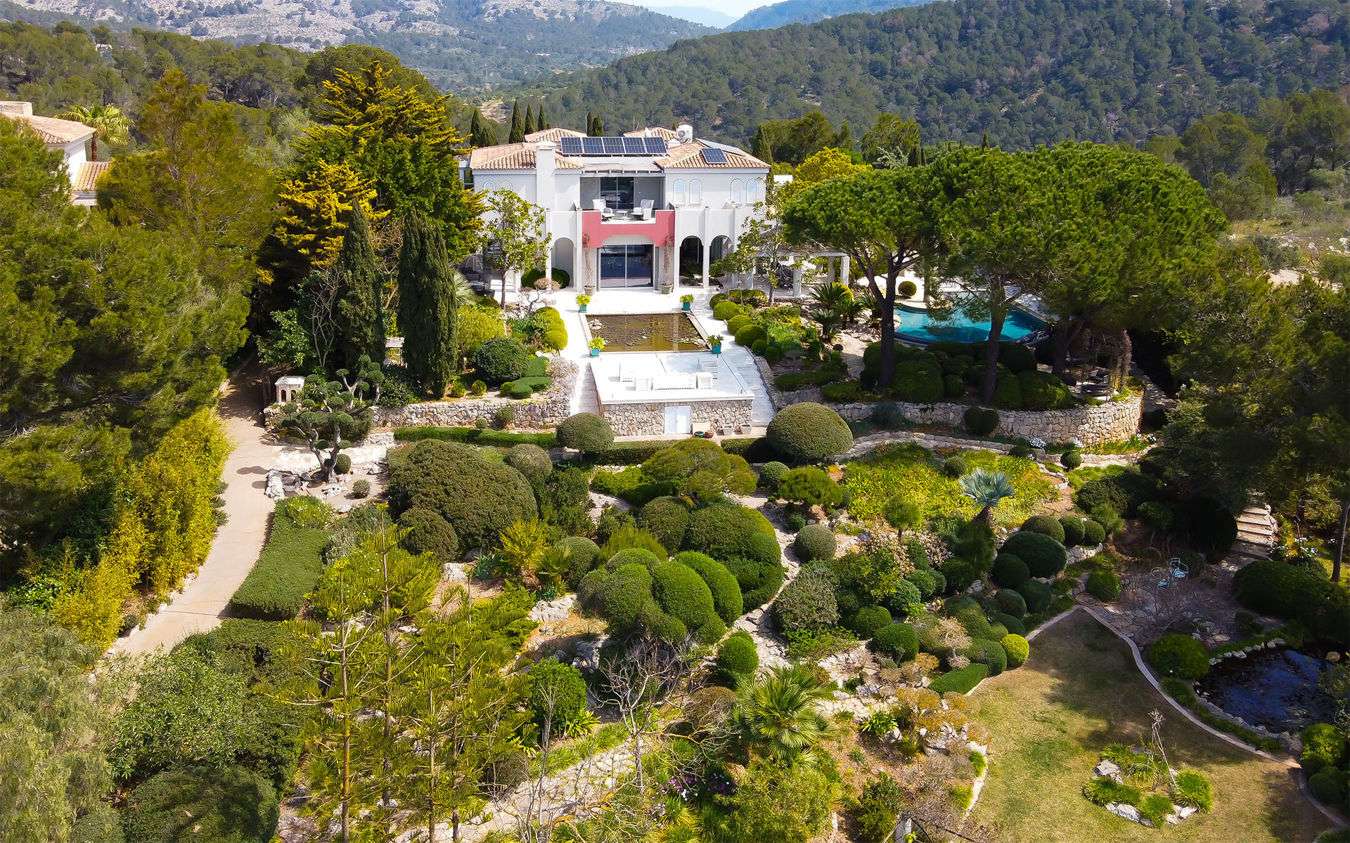 [object Object] - image