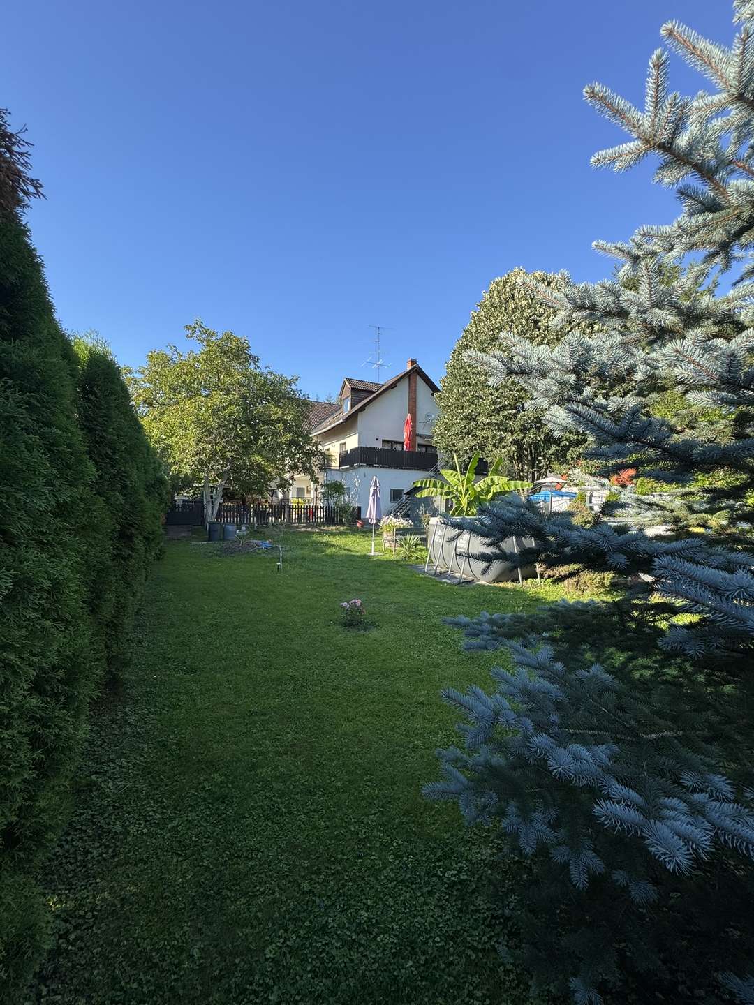 [object Object] - image