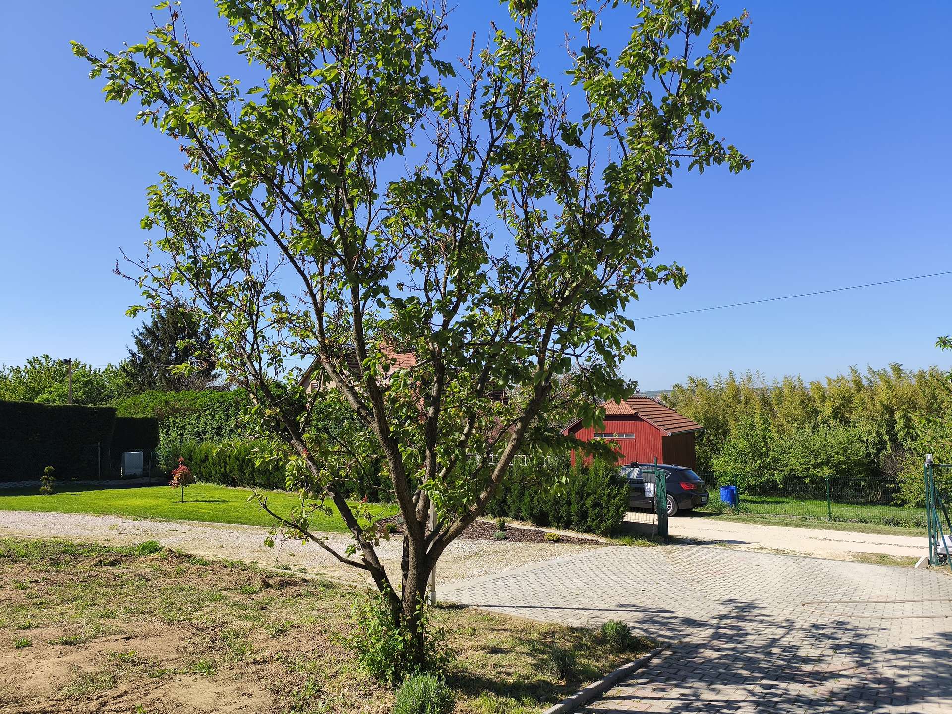 [object Object] - image