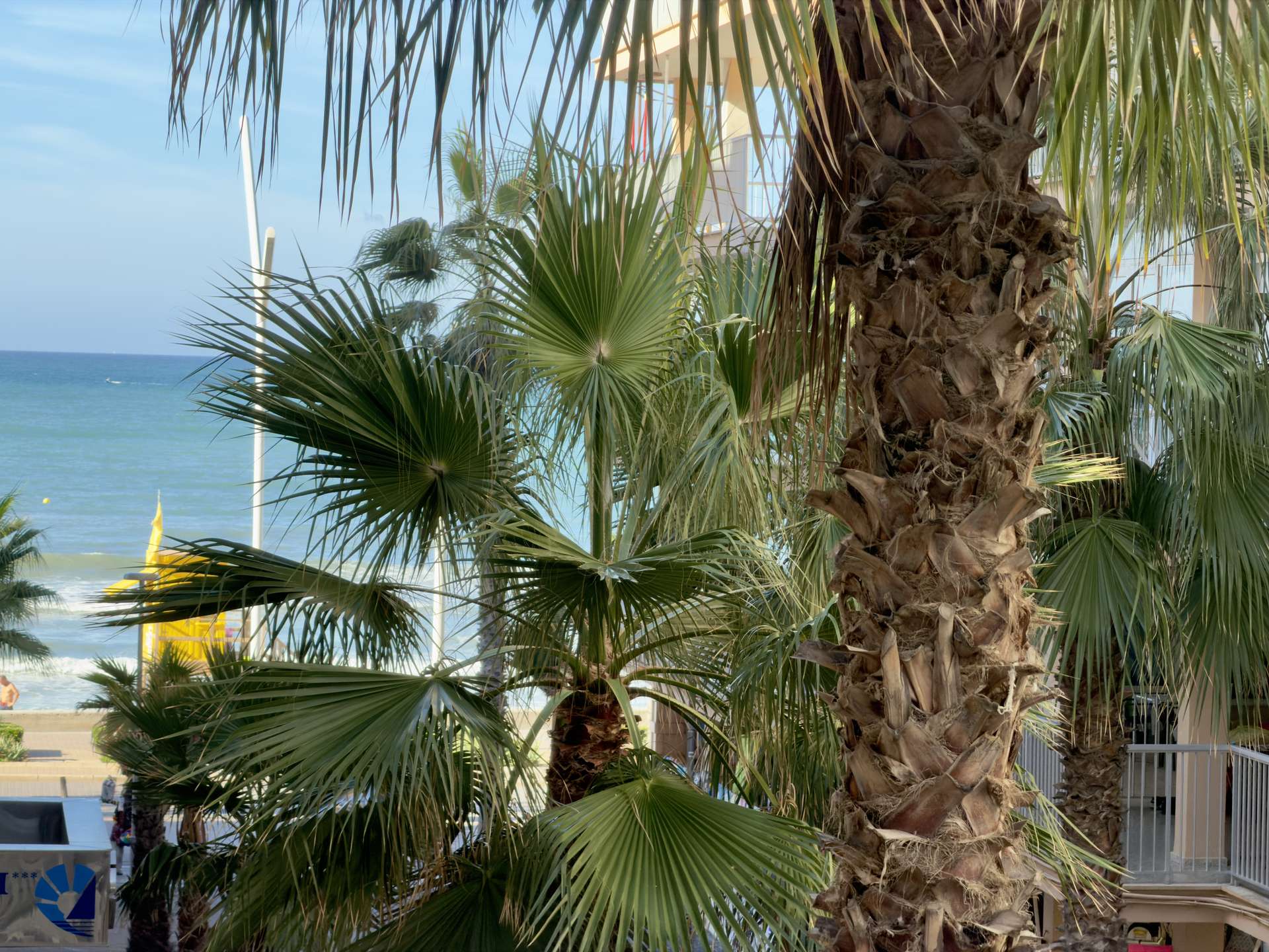 [object Object] - image