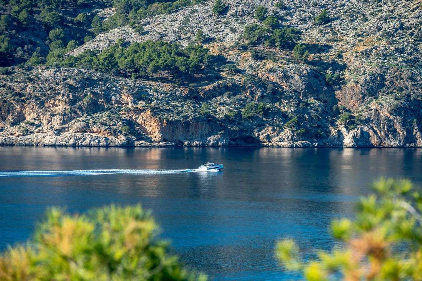 [object Object] - image