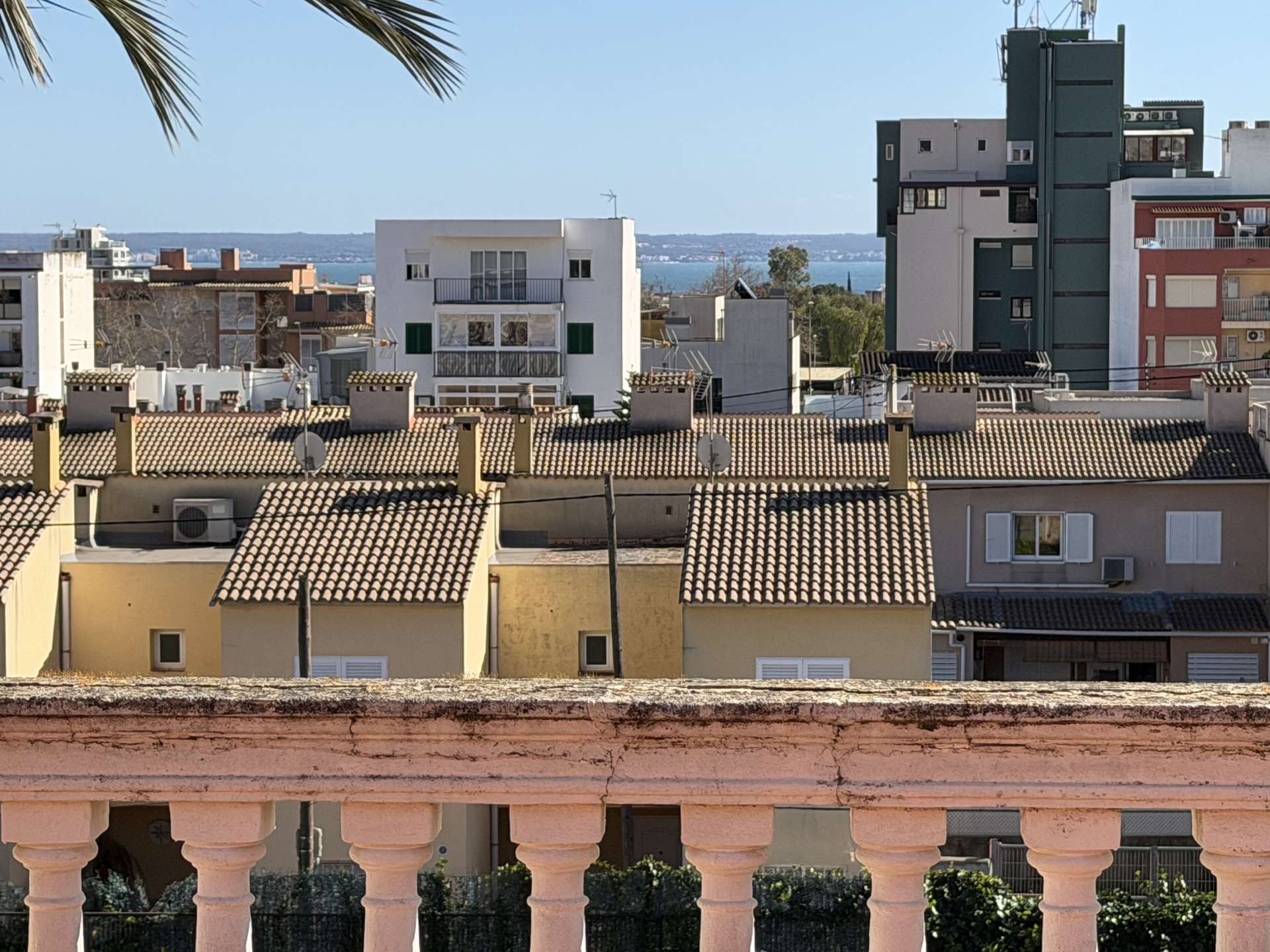 [object Object] - image