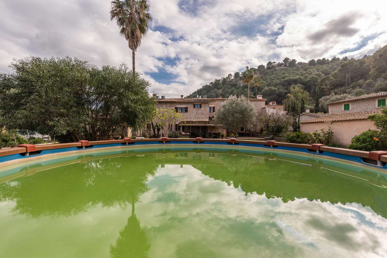 [object Object] - image