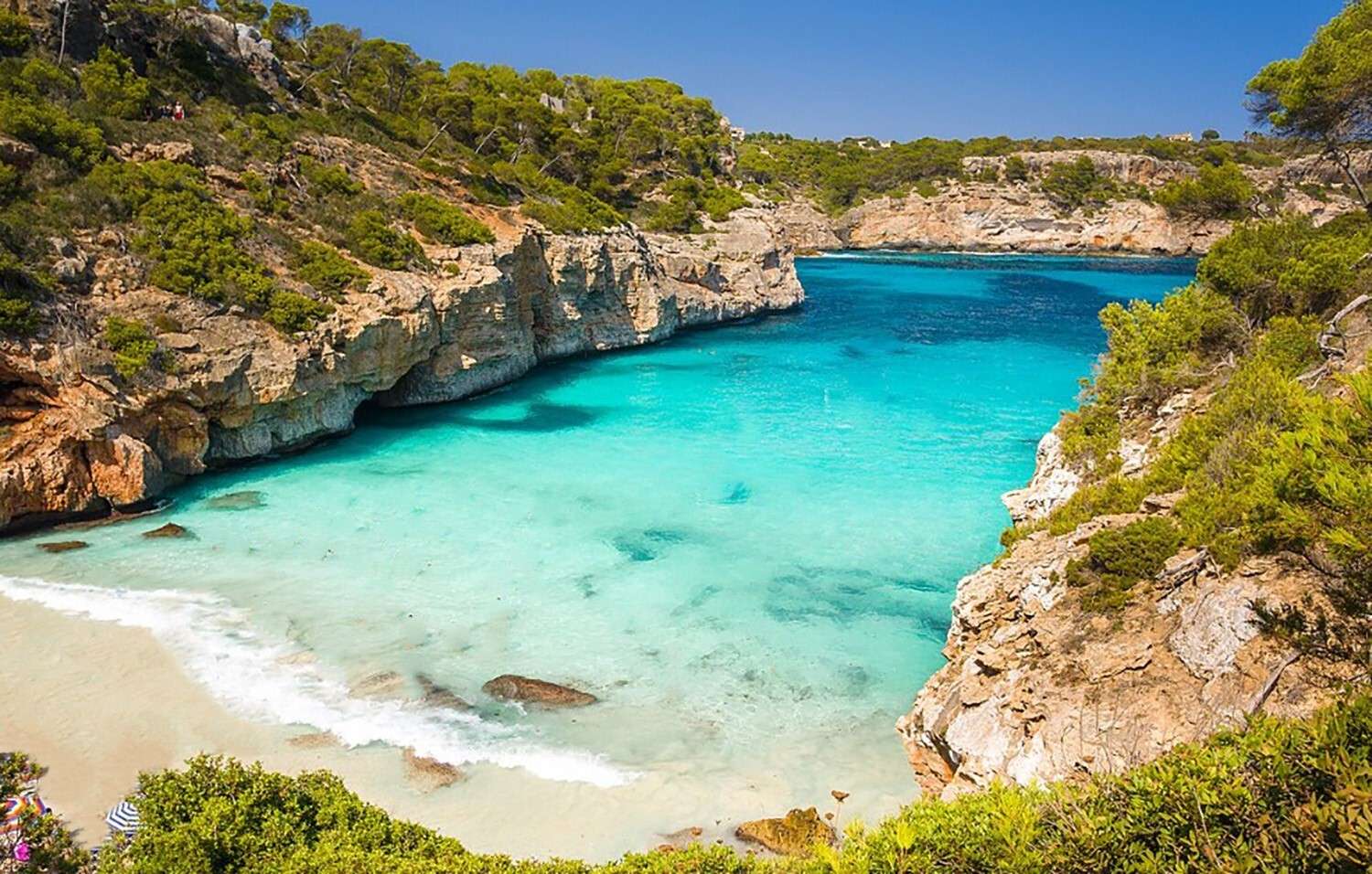 [object Object] - image