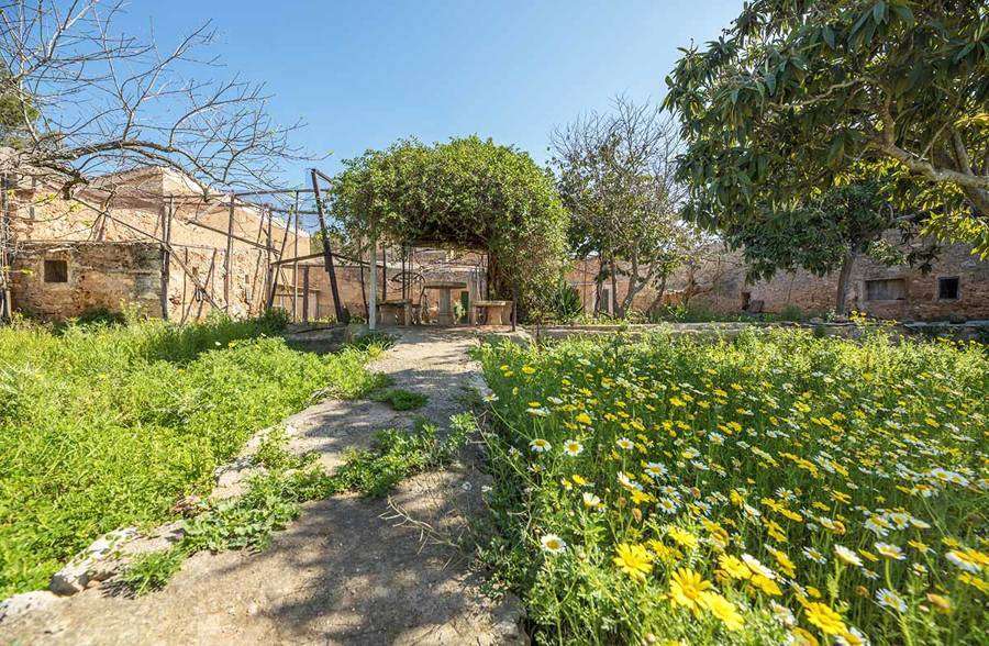 [object Object] - image