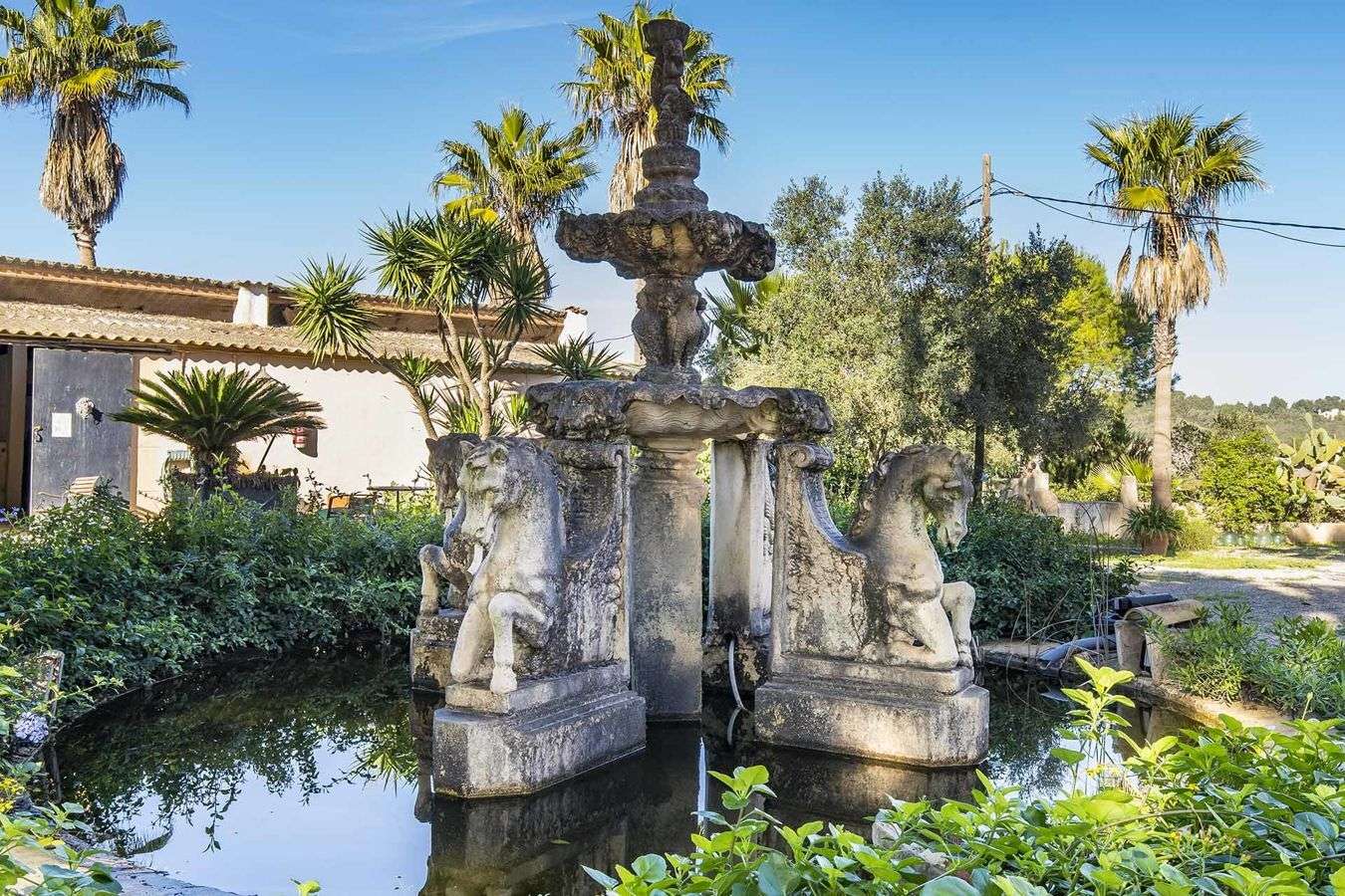 [object Object] - image