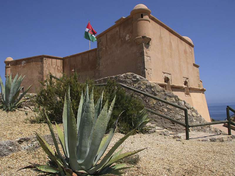 [object Object] - image