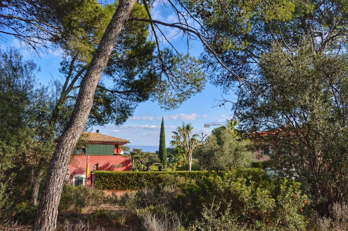 [object Object] - image