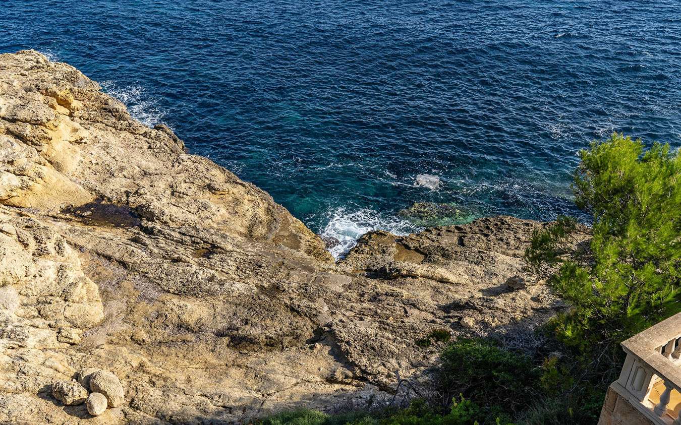 [object Object] - image