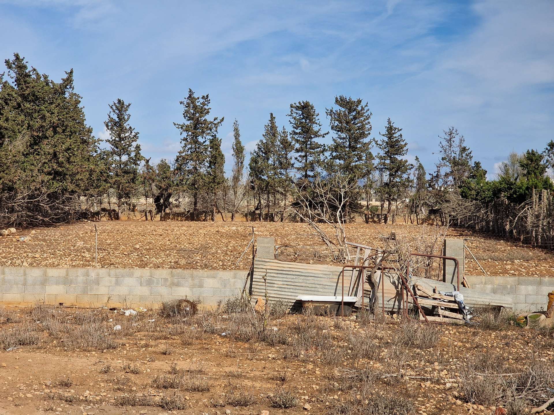 [object Object] - image