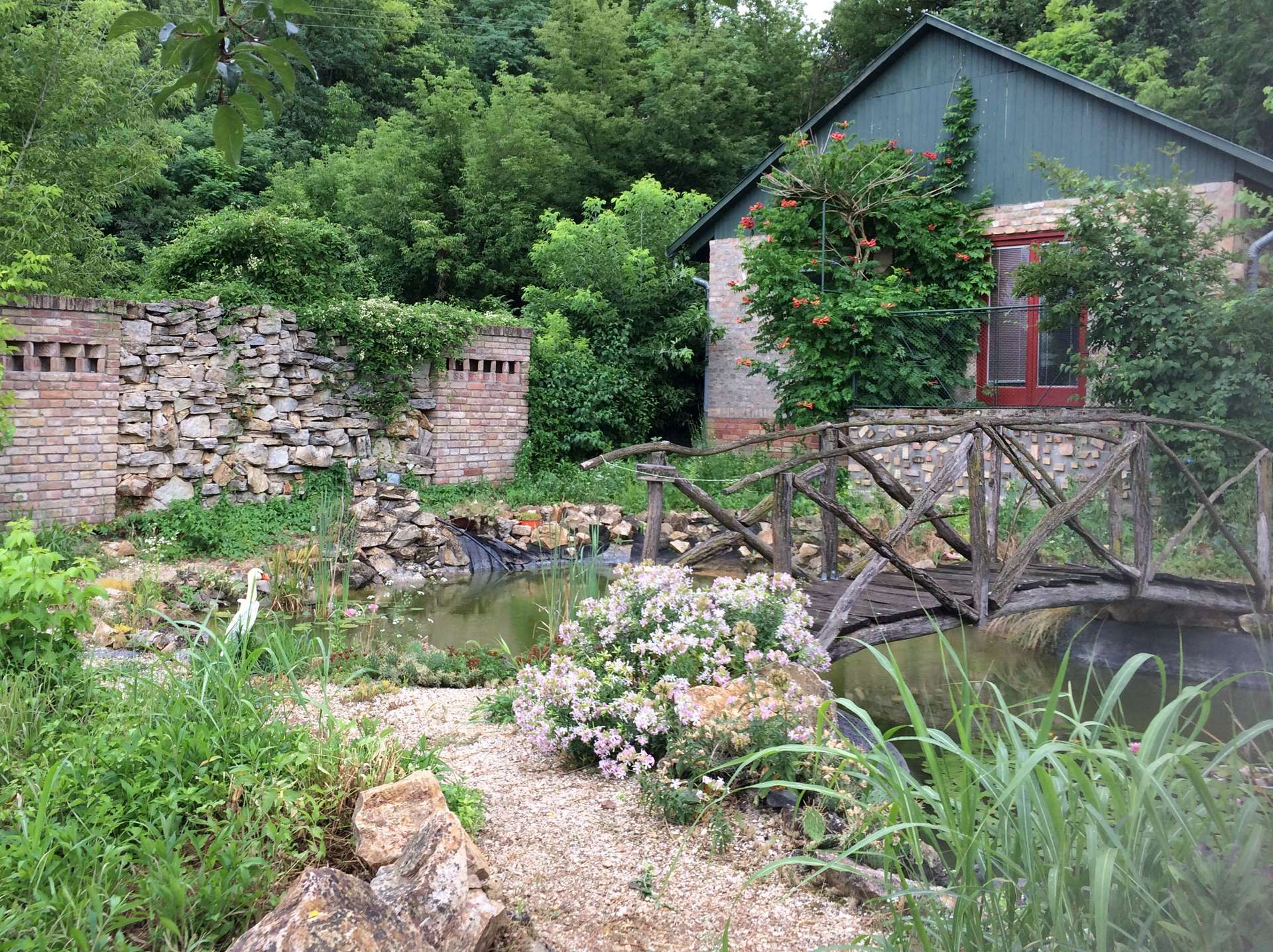 [object Object] - image